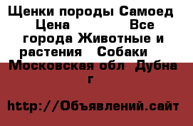 Щенки породы Самоед › Цена ­ 20 000 - Все города Животные и растения » Собаки   . Московская обл.,Дубна г.